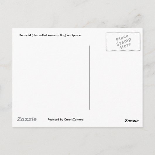 Reduviid op Briefkaart Spruce (Achterkant)