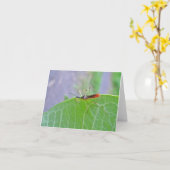 Reduviid Red Assassin Bug Note Kaart (Gele Bloem)