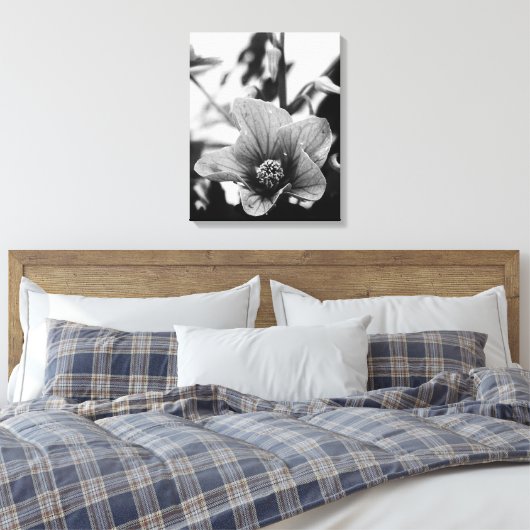 Redvein Abutilon - zwarte en witte foto Canvas Afdruk (Insitu (Slaapkamer))