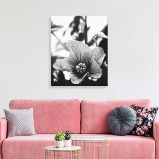Redvein Abutilon - zwarte en witte foto Canvas Afdruk (Insitu (Woonkamer))