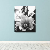 Redvein Abutilon - zwarte en witte foto Canvas Afdruk (Insitu (Houten vloer))