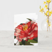 redwhitecam kaart (Gele Bloem)