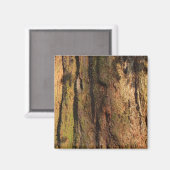 Redwood Bark Photo Texture Magneet (Voorkant / Achterkant)