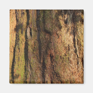 Redwood Bark Photo Texture Magneet