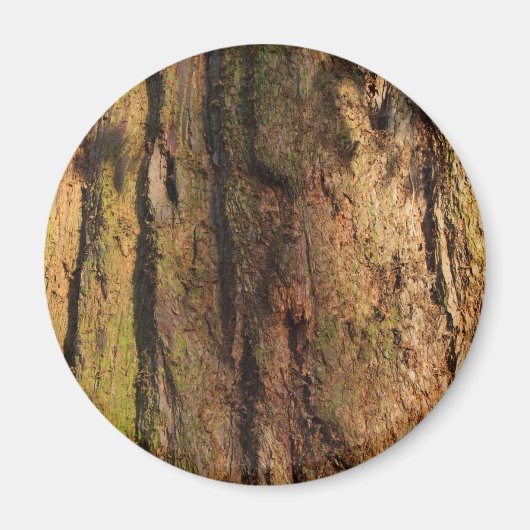 Redwood Bark Photo Texture Magneet (Voorkant)