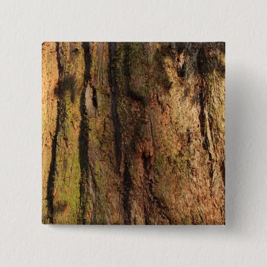 Redwood Bark Photo Texture Vierkante Button 5,1 Cm (Voorkant)