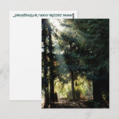 Redwood bomen in de ochtend briefkaart (Voorkant / Achterkant)