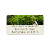 Redwood Boughs in Redwood National Park Etiket (Voorkant)