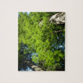 Redwood Boughs in Redwood National Park Legpuzzel (Verticaal)