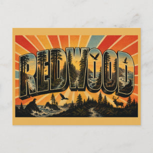 Redwood Californië Oerbos Kust Kunst Briefkaart