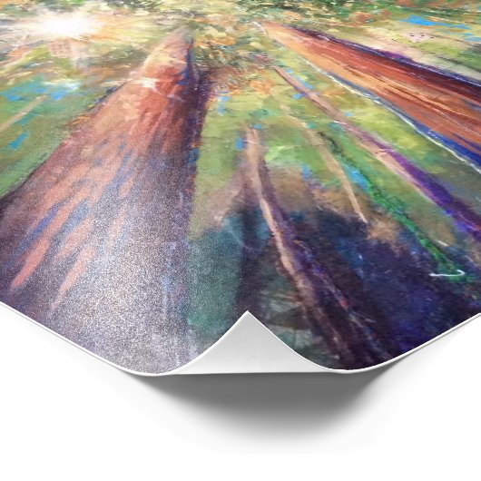 Redwood Canopy Foto Afdruk (Hoek)