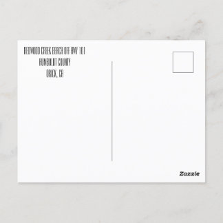 Redwood Creek Beach Highway 101, Californië Briefkaart