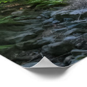 "Redwood Creek", Muir Bossen Poster (Hoek)