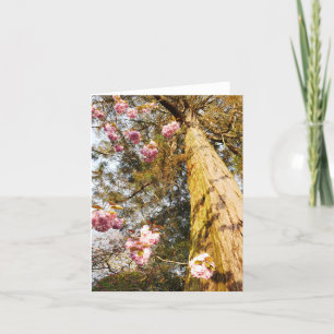 Redwood en Cherry Blossom Kaart