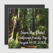 Redwood en Ferns in Redwood National Park (Voorkant / Achterkant)