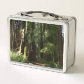 Redwood en Ferns in Redwood National Park (Achterkant)