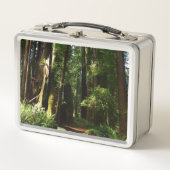 Redwood en Ferns in Redwood National Park (Voorkant)