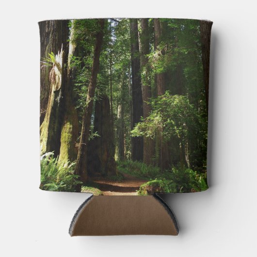 Redwood en Ferns in Redwood National Park Blikjeskoeler (Voorkant)