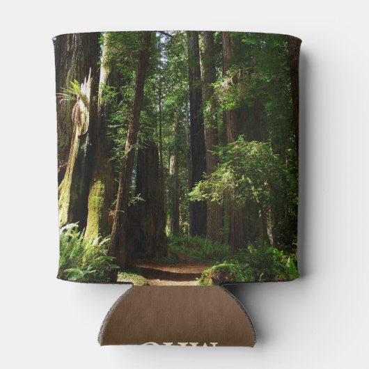 Redwood en Ferns in Redwood National Park Blikjeskoeler (Achterkant)