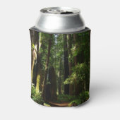 Redwood en Ferns in Redwood National Park Blikjeskoeler (Blikje Achterkant)