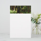 Redwood en Ferns in Redwood National Park Briefpapier (Staand voorkant)