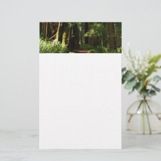Redwood en Ferns in Redwood National Park Briefpapier (Staand voorkant)