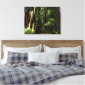 Redwood en Ferns in Redwood National Park Canvas Afdruk (Insitu (Slaapkamer))