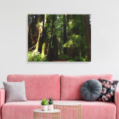 Redwood en Ferns in Redwood National Park Canvas Afdruk (Insitu (Woonkamer))