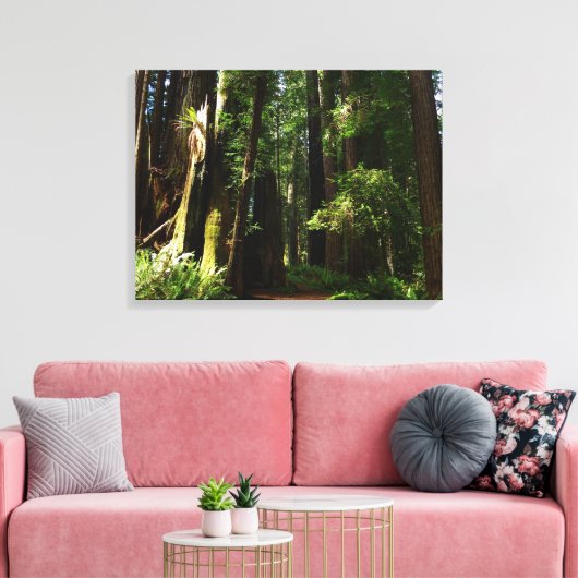 Redwood en Ferns in Redwood National Park Canvas Afdruk (Insitu (Woonkamer))