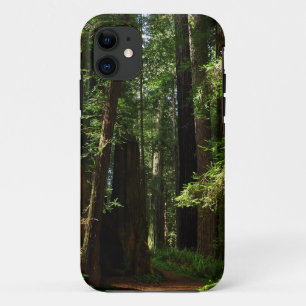Redwood en Ferns in Redwood National Park Case-Mate iPhone Case