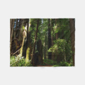 Redwood en Ferns in Redwood National Park Fleece Deken (Voorkant (Horizontaal))
