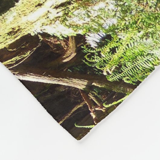 Redwood en Ferns in Redwood National Park Fleece Deken (Hoek)