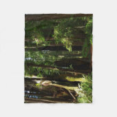 Redwood en Ferns in Redwood National Park Fleece Deken (Voorkant)