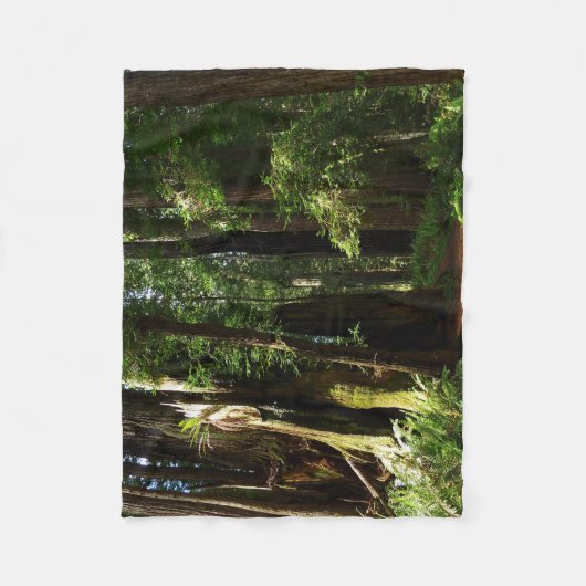 Redwood en Ferns in Redwood National Park Fleece Deken (Voorkant)