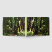 Redwood en Ferns in Redwood National Park Gastenboek (Volledig)