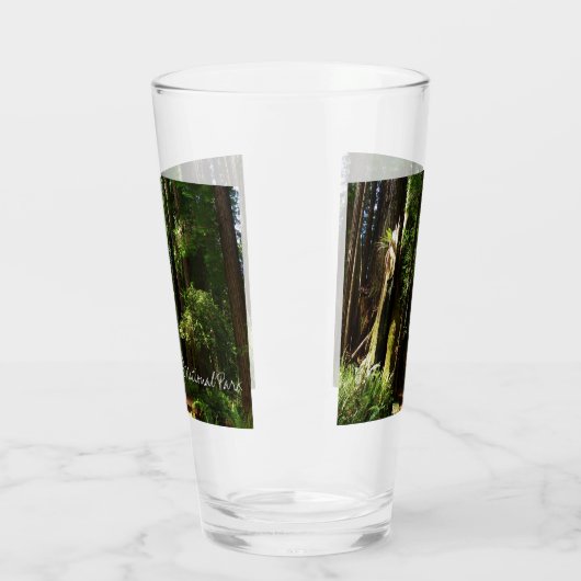 Redwood en Ferns in Redwood National Park Glas (Links)