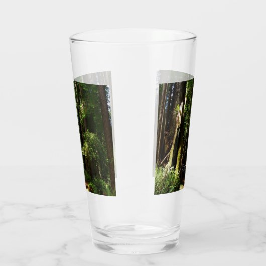 Redwood en Ferns in Redwood National Park Glas (Rechts)