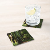 Redwood en Ferns in Redwood National Park Kartonnen Onderzetters (Insitu)