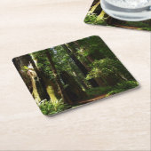 Redwood en Ferns in Redwood National Park Kartonnen Onderzetters (Schuin)