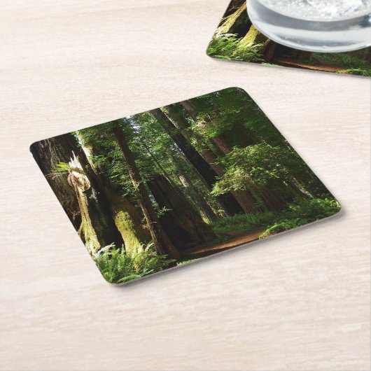 Redwood en Ferns in Redwood National Park Kartonnen Onderzetters (Schuin)