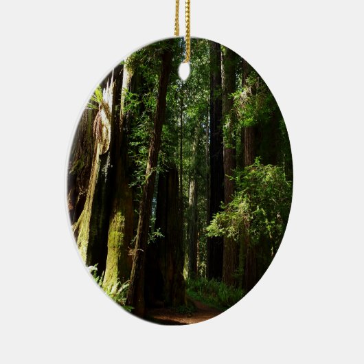 Redwood en Ferns in Redwood National Park Keramisch Ornament (Rechts)