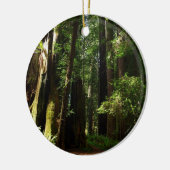 Redwood en Ferns in Redwood National Park Keramisch Ornament (Links)