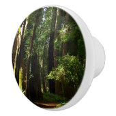 Redwood en Ferns in Redwood National Park Keramische Knop (Rechts)