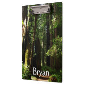 Redwood en Ferns in Redwood National Park Klembord (Links)