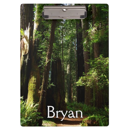 Redwood en Ferns in Redwood National Park Klembord (Voorkant)