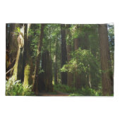 Redwood en Ferns in Redwood National Park Kussensloop (Achterkant)