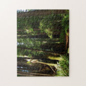 Redwood en Ferns in Redwood National Park Legpuzzel (Verticaal)