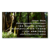 Redwood en Ferns in Redwood National Park Magnetisch Visitekaartje (Voorkant)