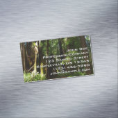 Redwood en Ferns in Redwood National Park Magnetisch Visitekaartje (Voorbeeld)