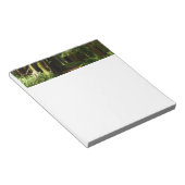 Redwood en Ferns in Redwood National Park Notitieblok (Schuin)